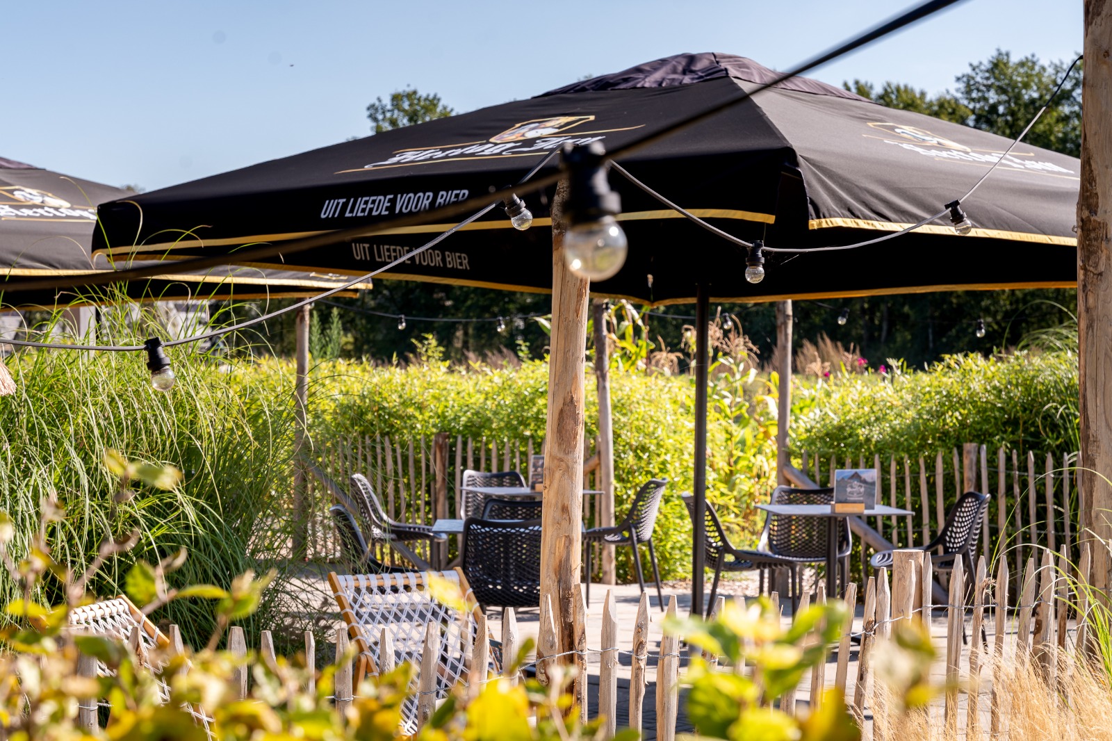 PHOTO-2026-03-25-13-30-24 3