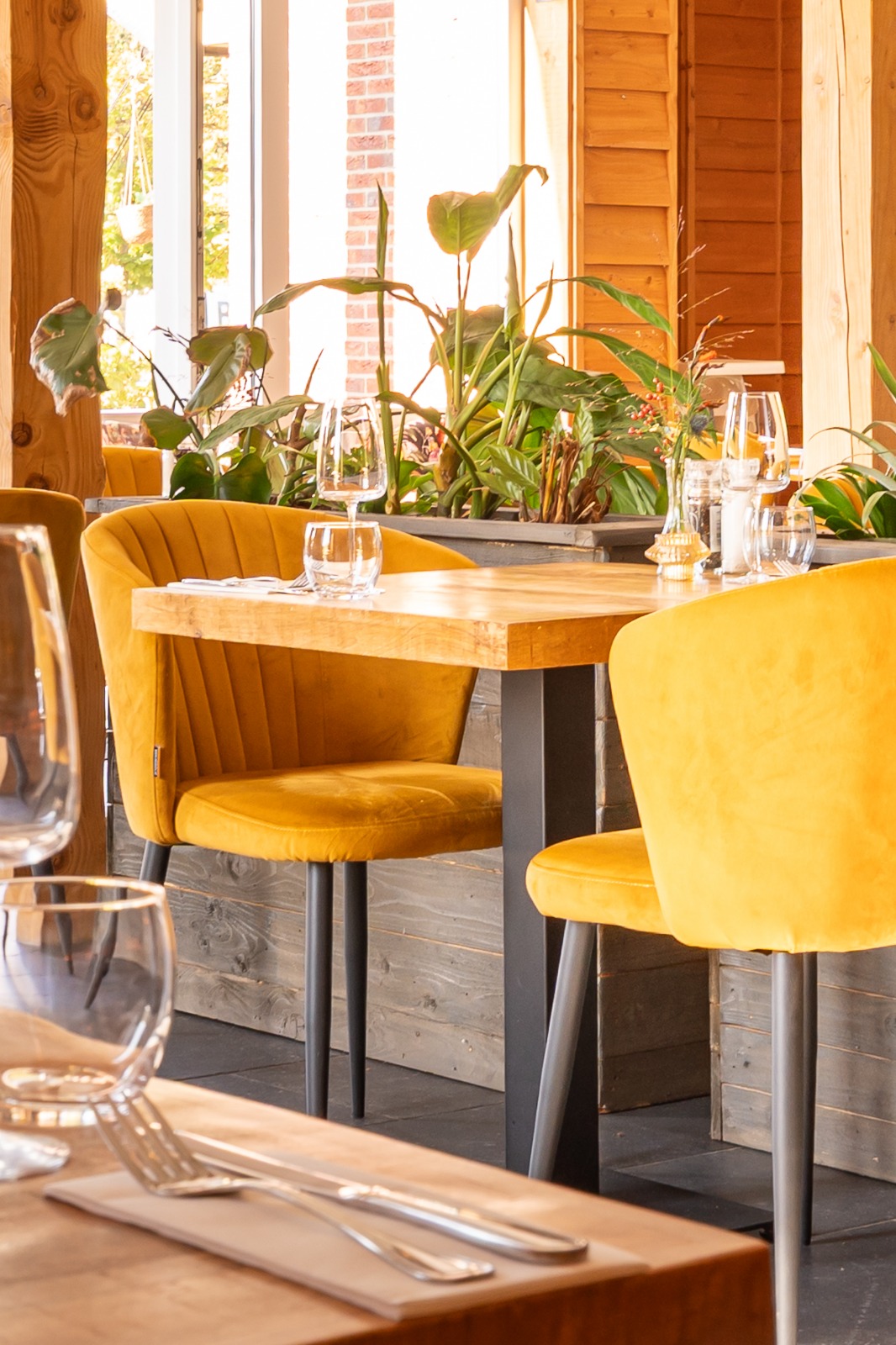 PHOTO-2026-03-25-13-30-24